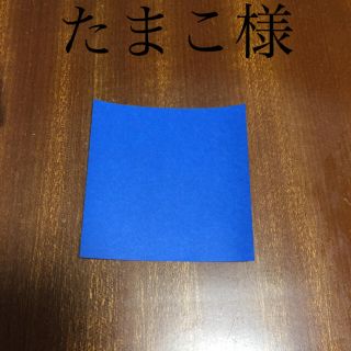 たまこ様専用(その他)