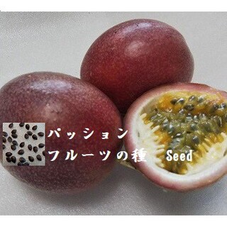 RD0122 パッションフルーツの種30粒 果物たね(フルーツ)