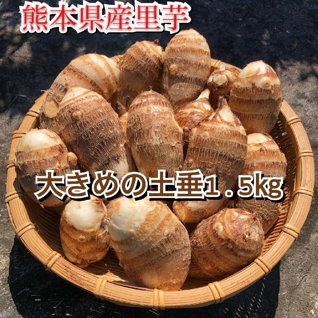 気質アップ A品 里芋 2L Lサイズ 19.8キロ箱込み土つき
