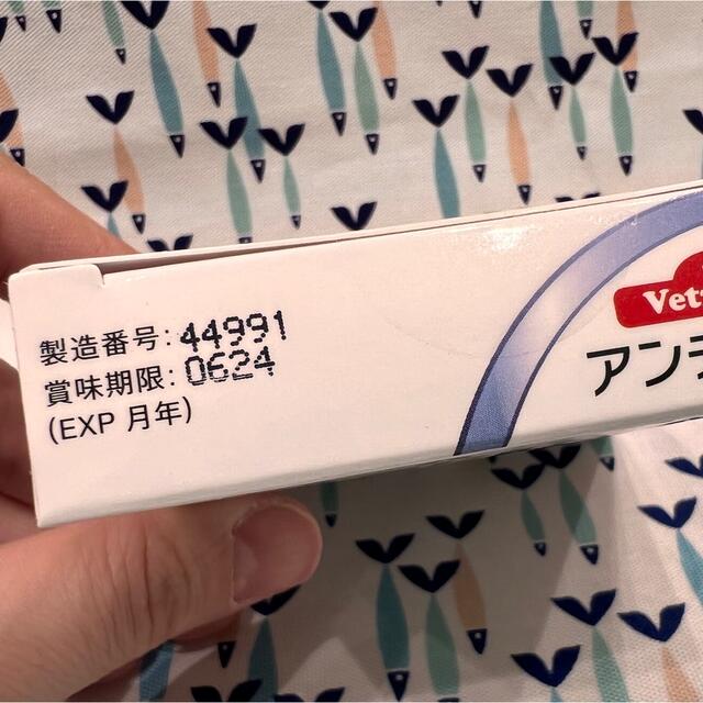 アンチノール　猫用　60粒　4箱〈おまけ付き〉