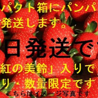 マツコ絶賛の訳有りA品！数量限定『真紅の美鈴』入り3種類以上入り！朝採れ発送！(フルーツ)