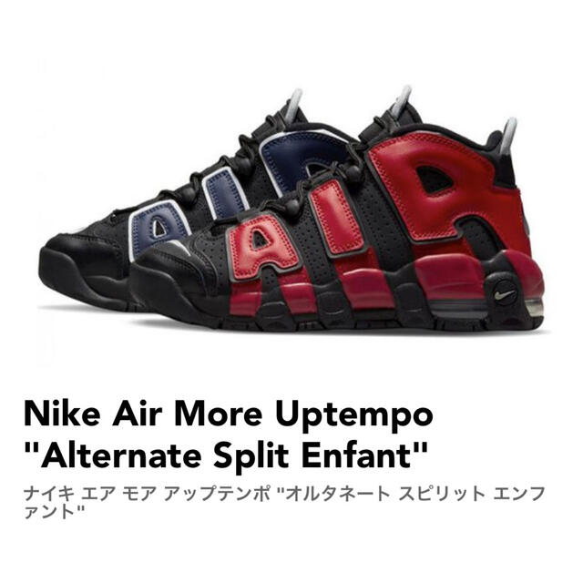 NIKE(ナイキ)の【新品未使用】ナイキ　エア モア アップテンポ96 メンズの靴/シューズ(スニーカー)の商品写真