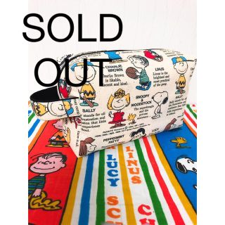 SOLD OUT!  最終お値下げ☆  撥水生地ポーチバック　ハンドメイド(ポーチ)