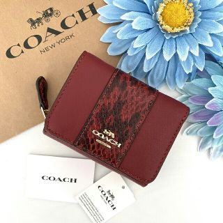 新品 訳あり☆COACH(コーチ)レッド パイソン レザー 折り財布