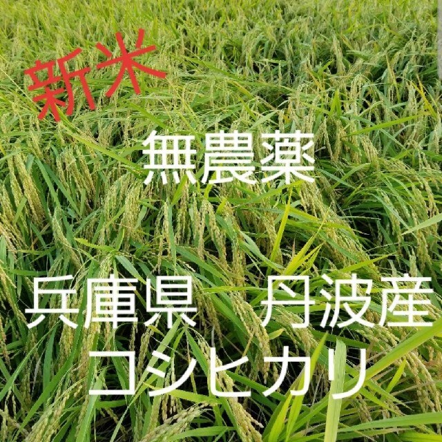 令和4年 兵庫県丹波産 農薬不使用コシヒカリ5キロ C1OPIb4h8v ...