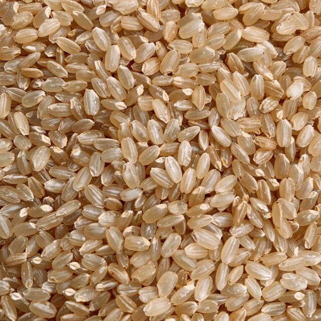 2356円 高品質新品 秋田県産 令和3年産 新米あきたこまち２０kg 特別栽培米 有機米 一等米