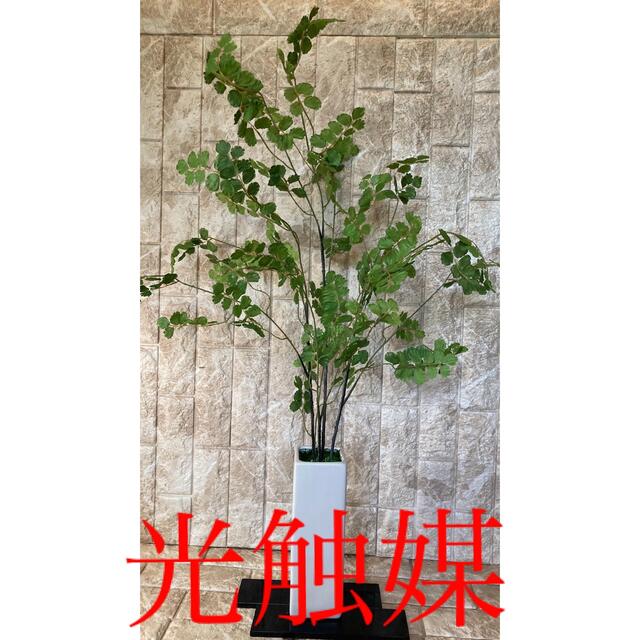 光触媒　人工観葉植物　ウォールグリーン　フェイク　アレンジ　アジアンタム花器付