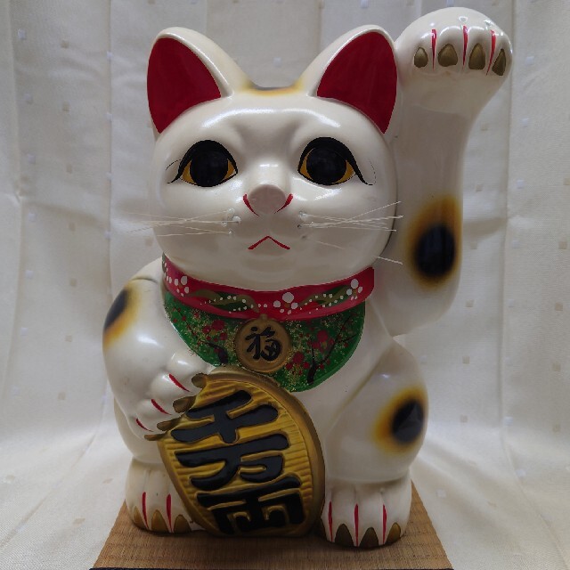 おしゃれ 招き猫 陶器 43cm 送料無料 Www Ausinvestors Com Au