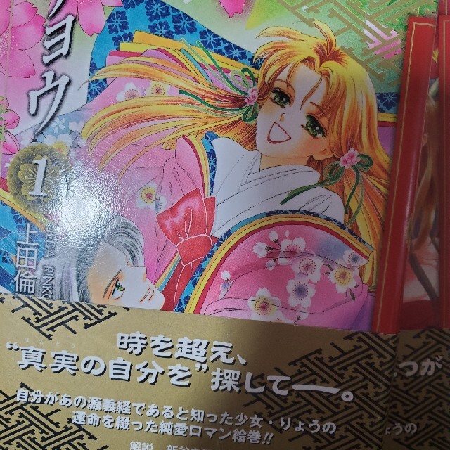 リョウ 1 エンタメ/ホビーの本(文学/小説)の商品写真