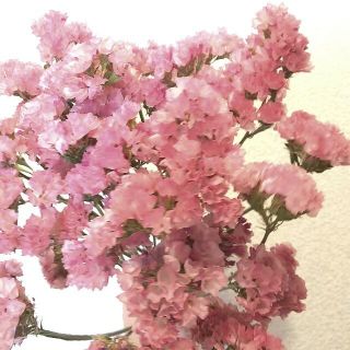 ドライフラワー スワッグ ガーランド 463ヘリクリサム 白 スターチス 花束の通販 By Rebloom Shop プロフ必読 ラクマ