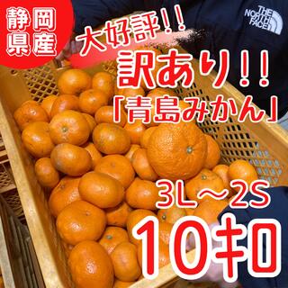 大好評！静岡県浜松産『青島みかん』わけありミカン　10キロ