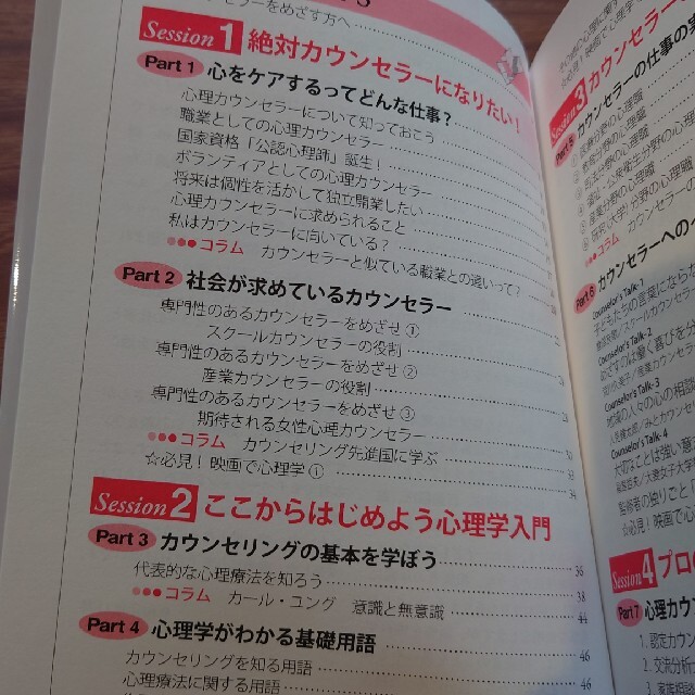 心理カウンセラーをめざす人の本 ’２０年版 エンタメ/ホビーの本(人文/社会)の商品写真