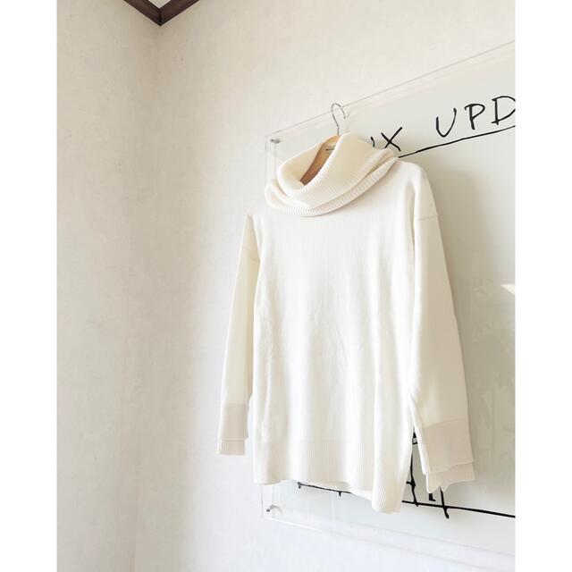 2/5 お値下げ AGNONA アニオナ カシミヤ100% ニット タートル