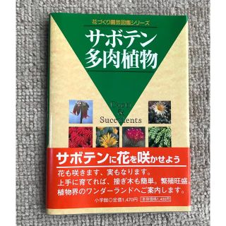 ショウガクカン(小学館)のサボテン・多肉植物(趣味/スポーツ/実用)