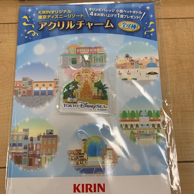 アサヒ(アサヒ)のニコライバーグマンバンブーファイバープレート10枚セット　おまけ付き インテリア/住まい/日用品のキッチン/食器(食器)の商品写真