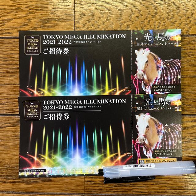 Tokyo Mega Illumination 2021-2022 招待券2枚 チケットの施設利用券(遊園地/テーマパーク)の商品写真