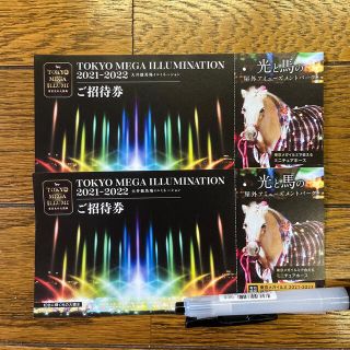 Tokyo Mega Illumination 2021-2022 招待券2枚(遊園地/テーマパーク)