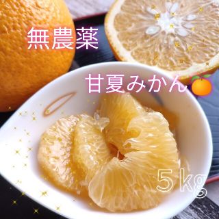 【無農薬】甘夏みかん　約5㎏(フルーツ)