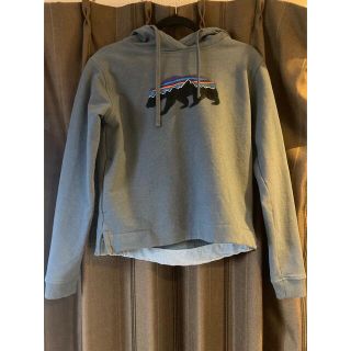 パタゴニア(patagonia)のpatagonia 39556 FA18スウェットプルオーバーパーカー メンズS(パーカー)