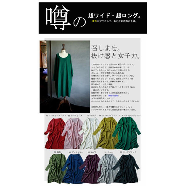 antiqua(アンティカ)のユリア様専用☆お取り置き レディースのワンピース(ひざ丈ワンピース)の商品写真