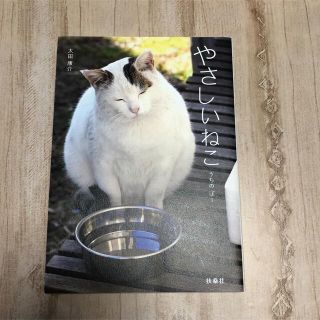 【最終値下げ】やさしいねこ うちの　ぽー(文学/小説)