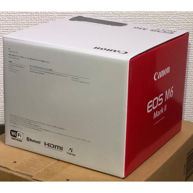 Canon(キヤノン)のCanon キャノン EOS M6 Mark II シルバー SDカード付 スマホ/家電/カメラのカメラ(ミラーレス一眼)の商品写真