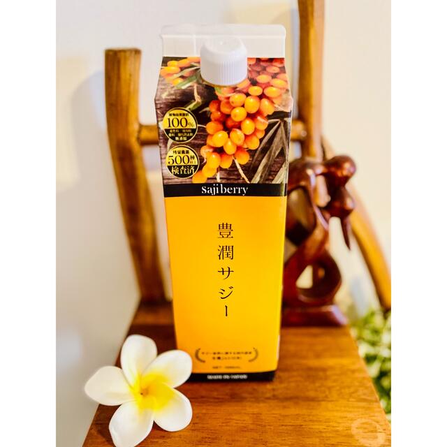 豊潤サジー 1000ml 紙パック 1本 食品/飲料/酒の健康食品(ビタミン)の商品写真