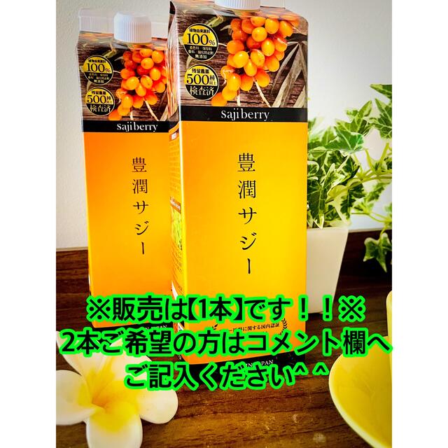 豊潤サジー 1000ml 紙パック 1本 食品/飲料/酒の健康食品(ビタミン)の商品写真