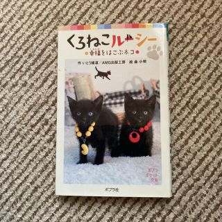 くろねこルーシー 幸福をはこぶネコ　もう1冊選んで400円(文学/小説)