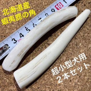 鹿の角　犬のおもちゃ　北海道産　　　　　　　　　　　　　　超小型犬用　2本セット(犬)