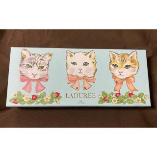 ラデュレ(LADUREE)のLADUREE ラデュレ マカロン 箱 ボックス ネコ 猫(小物入れ)