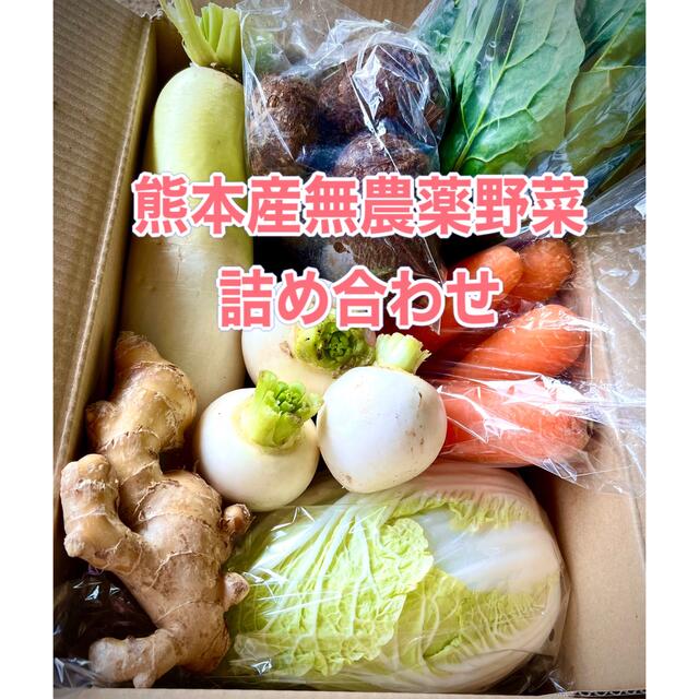 熊本産無農薬野菜詰め合わせＬサイズ 食品/飲料/酒の食品(野菜)の商品写真