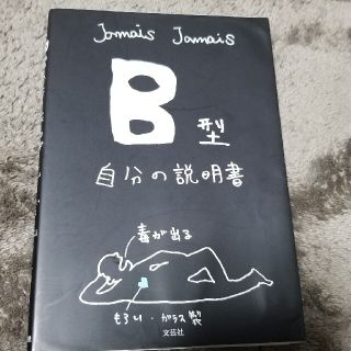 Ｂ型自分の説明書(その他)