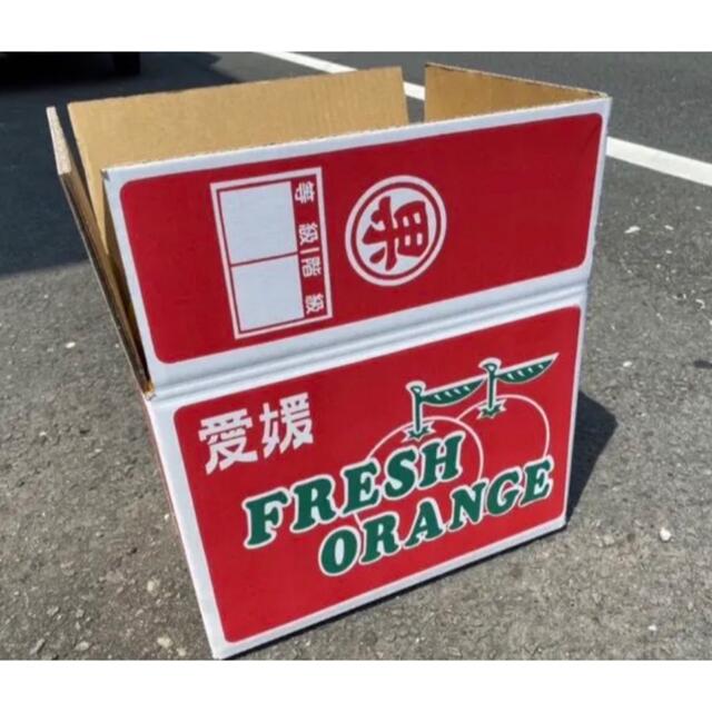 愛媛県産　ポンカン　柑橘　みかん　15kg 食品/飲料/酒の食品(フルーツ)の商品写真