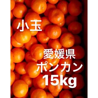 愛媛県産　ポンカン　柑橘　みかん　15kg