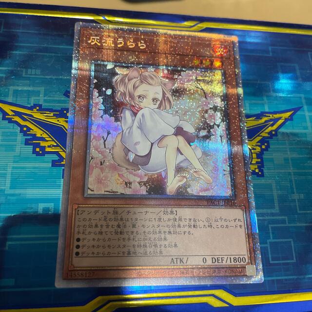 遊戯王(ユウギオウ)の遊戯王　灰流うらら　絵違い　プリシク エンタメ/ホビーのトレーディングカード(シングルカード)の商品写真