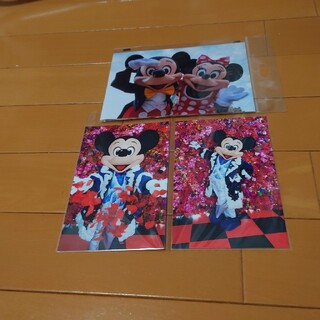 ディズニー(Disney)のミッキーマウス実写フォト&実写ポストカード(写真/ポストカード)