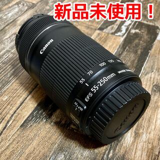 Canon EF-S55-250mm F4-5.6 IS STM 望遠レンズ