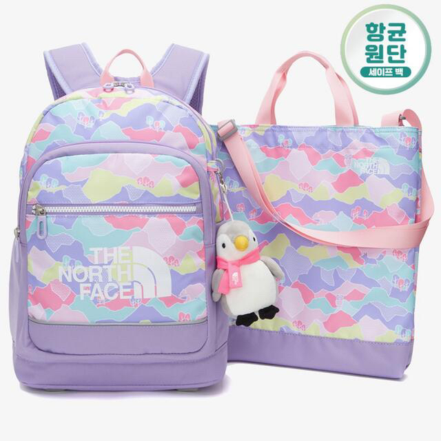 THE NORTH FACE - 新品○海外モデル ノースフェイス リュックと手提げ ...