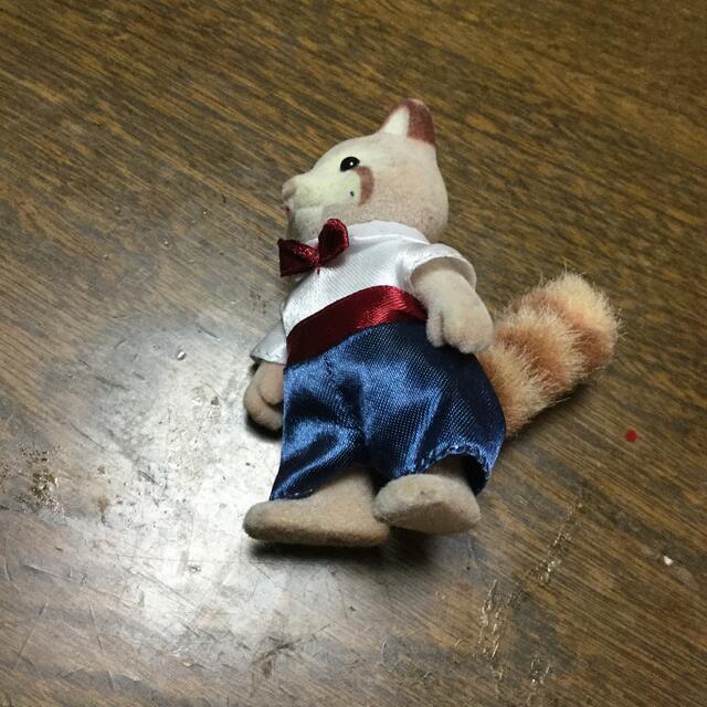 たぬき