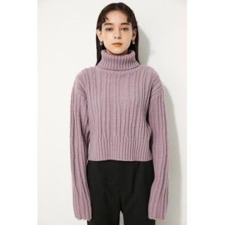 シェルターオリジナル(Shel'tter ORIGINAL)のLAGUA GEM GROOVE COLOR RIB KNIT(ニット/セーター)