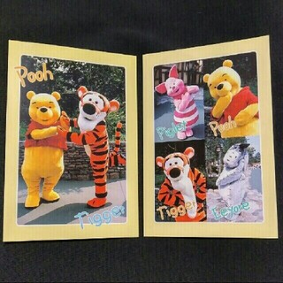 ディズニー(Disney)のDisney　ポストカード　プー/ティガー/ピグレット/イーヨー　実写(写真/ポストカード)