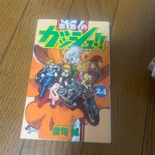 金色のガッシュ！！ ２４(少年漫画)