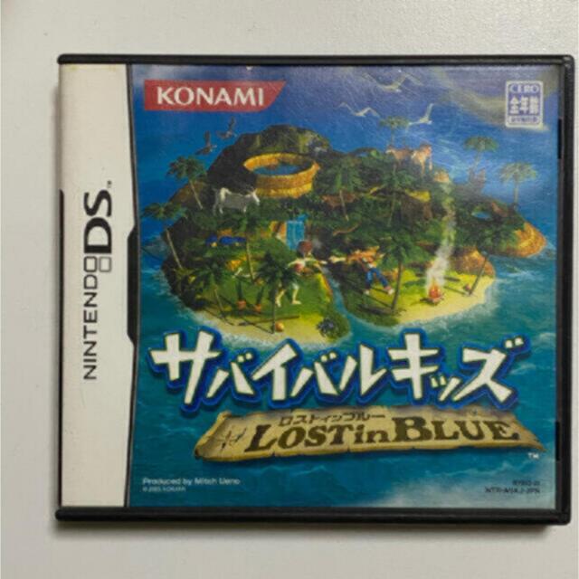 Nintendo DS ロストインブルー エンタメ/ホビーのゲームソフト/ゲーム機本体(携帯用ゲームソフト)の商品写真