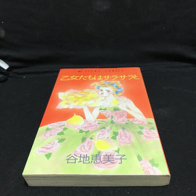 谷地恵美子２冊 乙女たちはサラサラと 静かにお昼寝の通販 By アキコ ラクマ