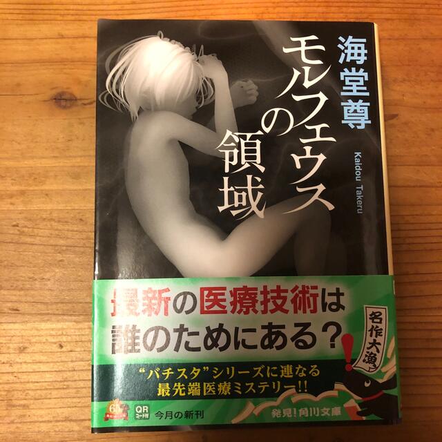 モルフェウスの領域 エンタメ/ホビーの本(その他)の商品写真