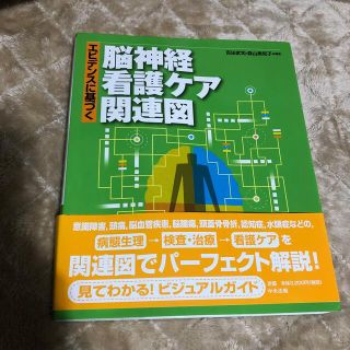 エビデンスに基づく脳神経看護ケア関連図(健康/医学)