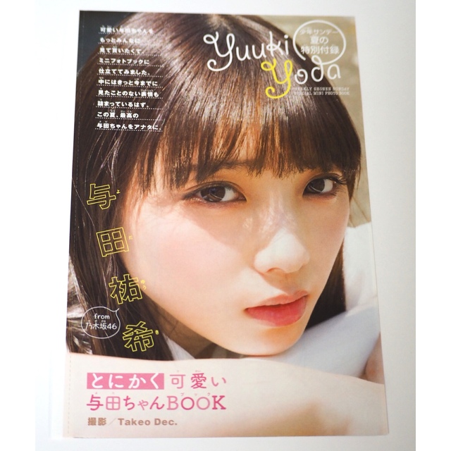 乃木坂46(ノギザカフォーティーシックス)のとにかく可愛い与田ちゃんBOOK 与田祐希 エンタメ/ホビーのタレントグッズ(アイドルグッズ)の商品写真