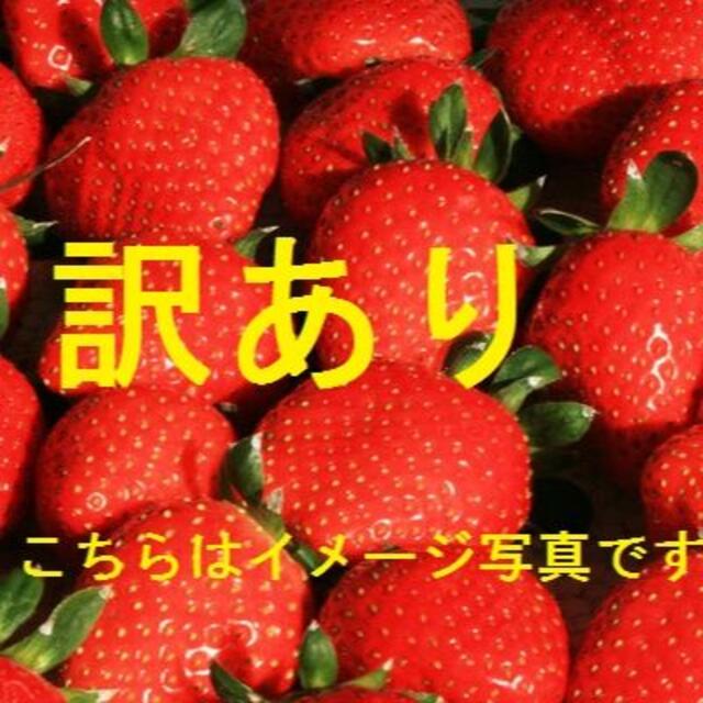 訳ありイロイロ・真紅の美鈴、あまおとめ、かおりの、恋みのり、紅ほっぺ・イチゴ 食品/飲料/酒の食品(フルーツ)の商品写真