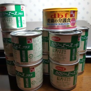 デビフ(dbf)のデビフ　猫用流動食　カロリーエースプラス11缶＋おまけ(ペットフード)